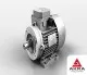 Электродвигатель общепромышленного назначения АИС 90L4 DIN CENELEC, комбинированное крепление