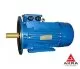 Электродвигатель общепромышленного назначения АИС 100L6 DIN CENELEC, крепление лапы