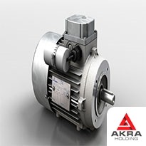 Электродвигатель однофазный 63х0,37х3000 АИРЕ63А2(В2), крепление лапы