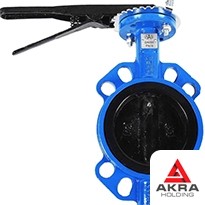 Затвор поворотный чугунный 50x16 мм 32ч926р