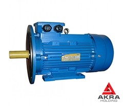 Электродвигатель общепромышленного назначения АИС 63A2 DIN CENELEC, крепление лапы